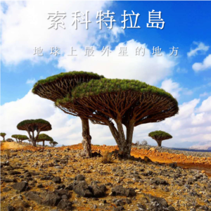 地球上最外星的地方 Socotra Island